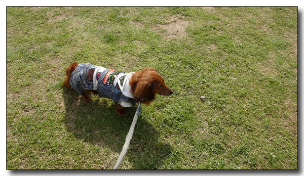 20130418193414.JPG