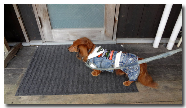 20130418193815.JPG