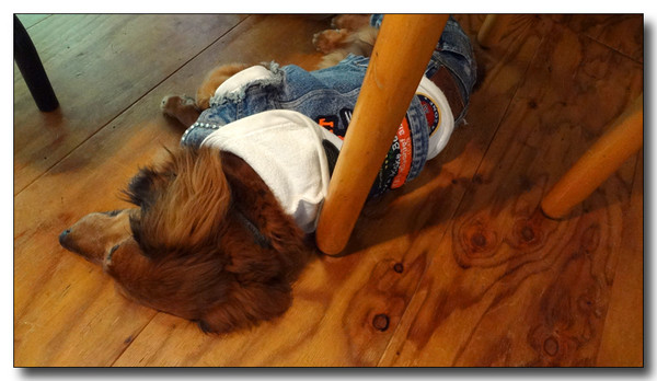 20130418193817.JPG