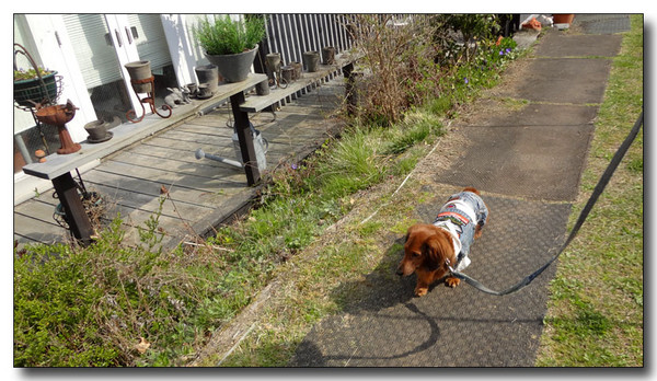 20130418193916.JPG