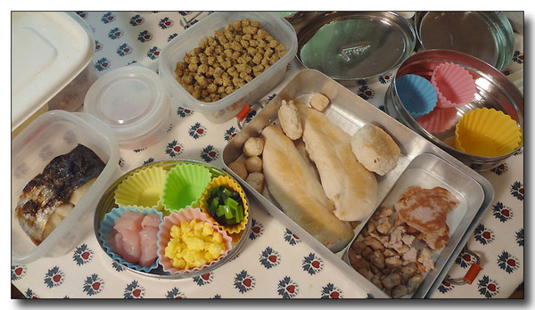 20130419131336.JPG