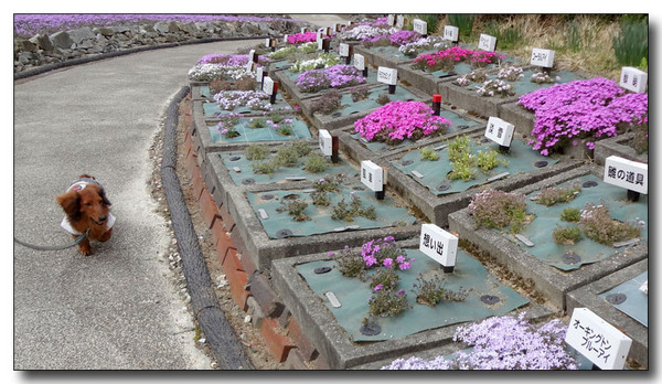 20130419152516.JPG