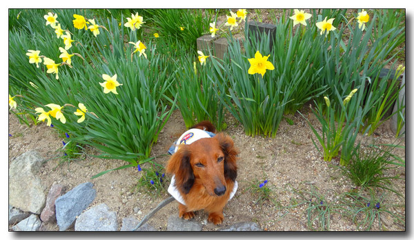 20130419152556.JPG