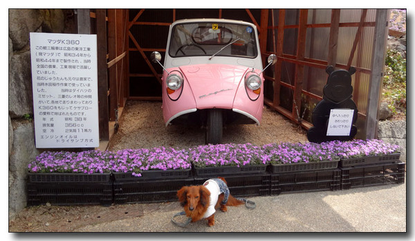 20130419152557.JPG