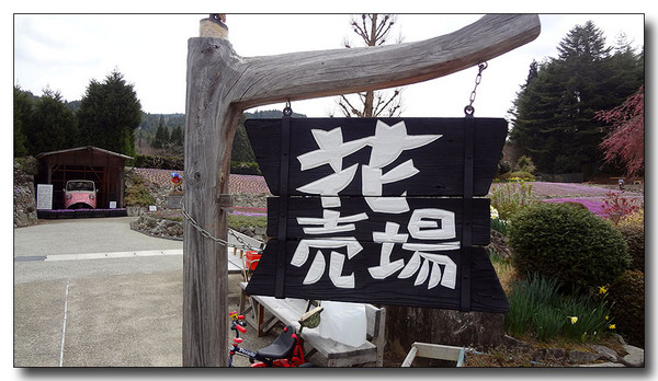 20130419152559.JPG