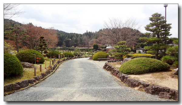 20130419172137.JPG