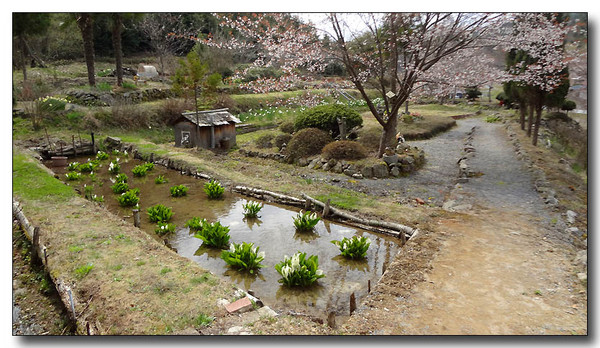 20130421081353.JPG