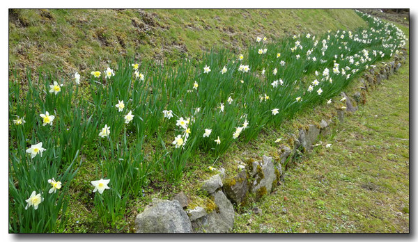 20130421081355.JPG