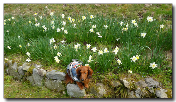 20130421081356.JPG