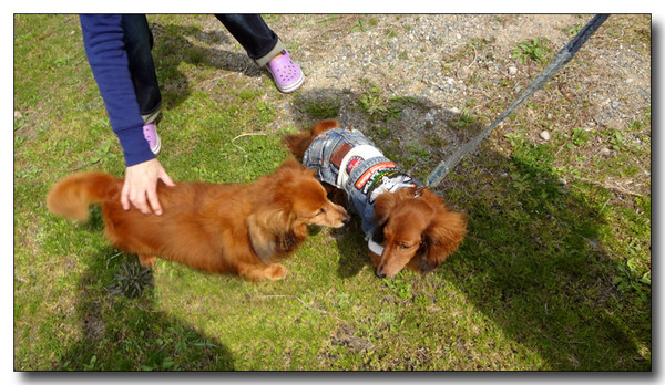 20130421081433.JPG