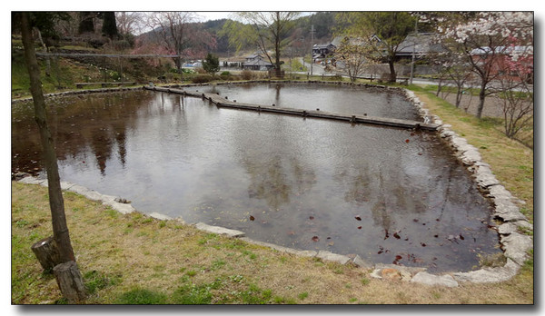 20130421081435.JPG