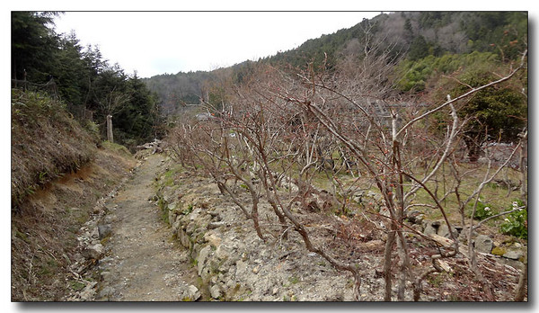 20130421081501.JPG