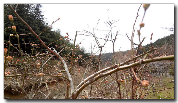 20130421081502.JPG
