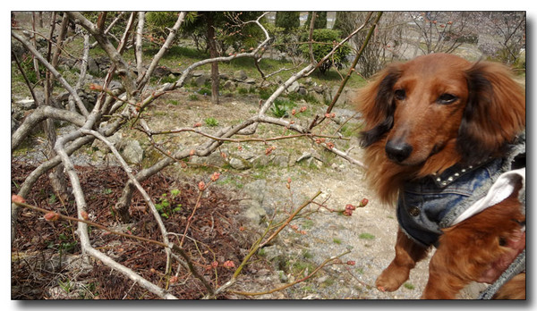 20130421081503.JPG