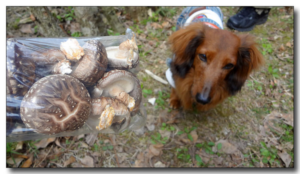 20130421081553.JPG