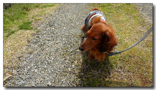 20130421081555.JPG