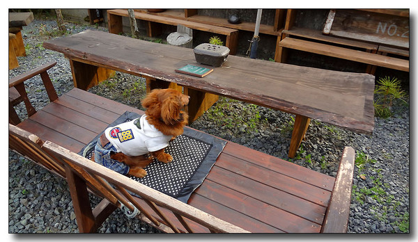 20130422023847.JPG