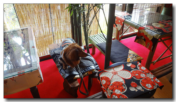 20130426005912.JPG