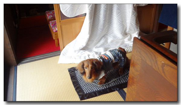 20130426052708.JPG