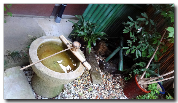 20130426053501.JPG