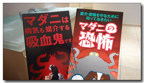 20131109204053.JPG