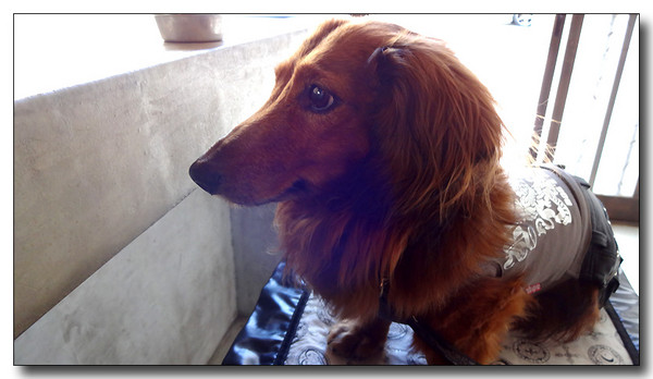 20131124220808.JPG
