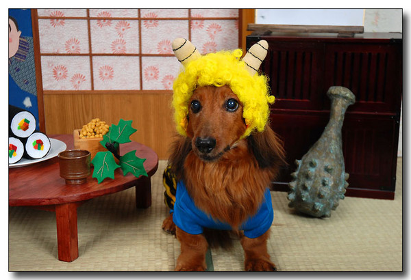20131202234841.JPG