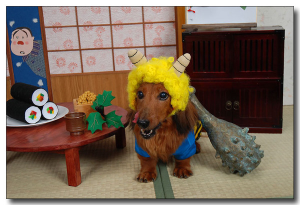 20131202234842.JPG