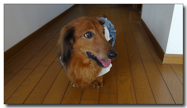 20131204072800.JPG