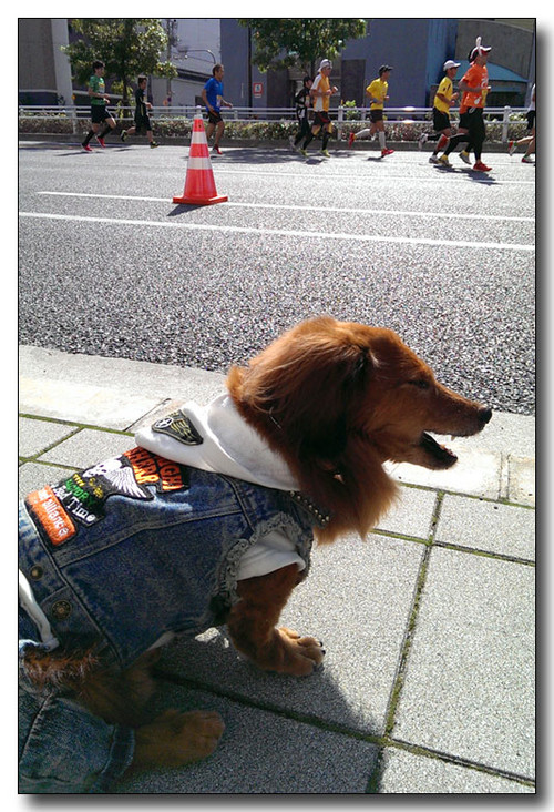 20131204072820.jpg