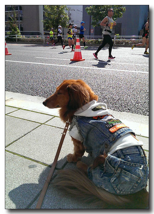 20131204072821.jpg