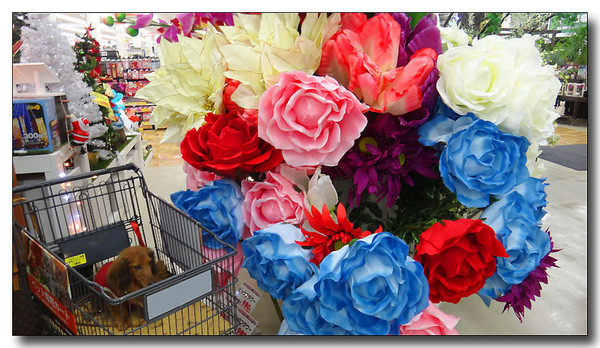 20131204133146.JPG