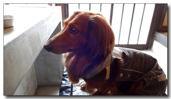 20131204133607.JPG