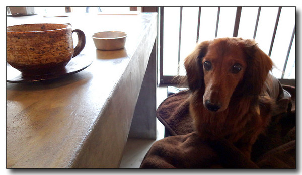 20131204133704.JPG