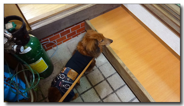 20140105124454.JPG