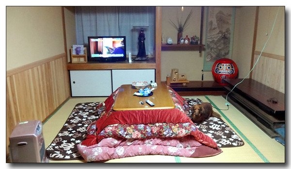 20140105225813.JPG