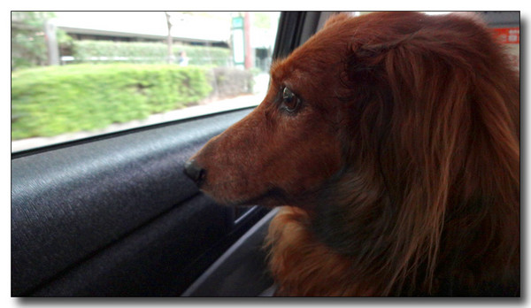 20131205064845.JPG