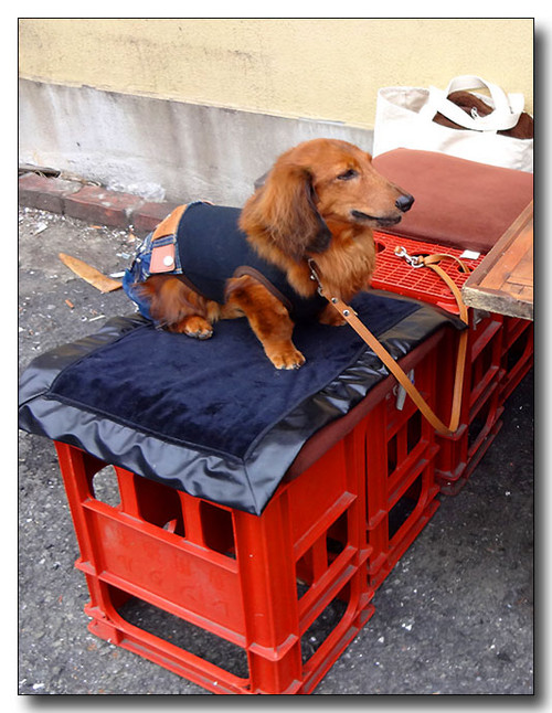 20131205094733.JPG