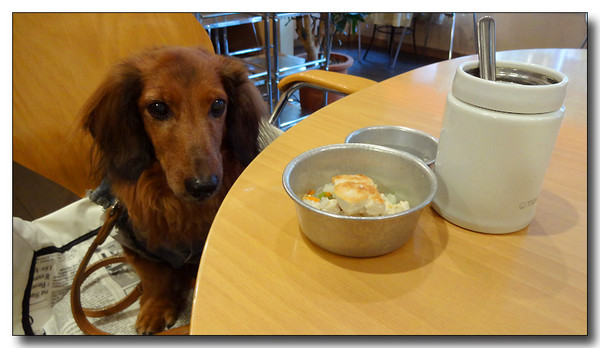 20131205112913.JPG