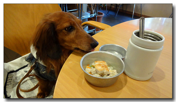20131205112914.JPG