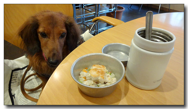 20131205112930.JPG
