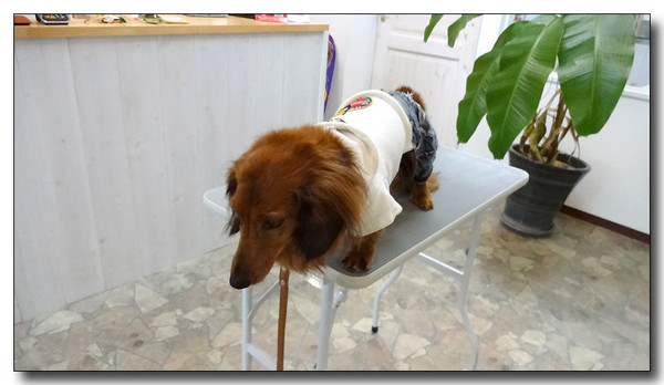 20131205171143.JPG