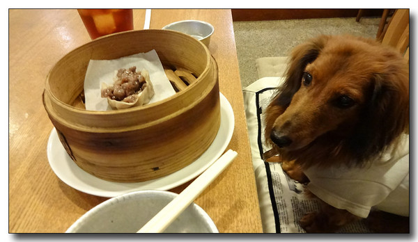 20131207050933.JPG