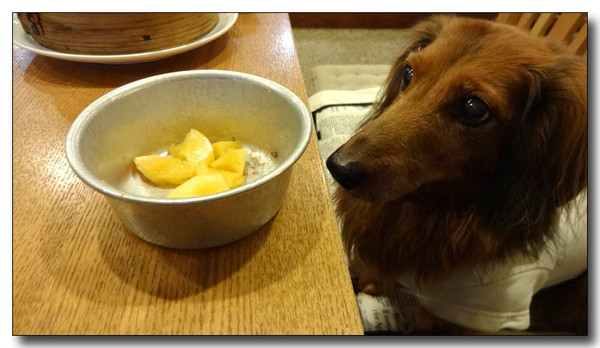 20131207050935.JPG