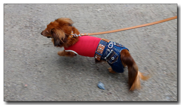 20131207154136.JPG