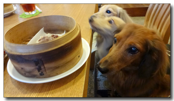 20131210095559.JPG
