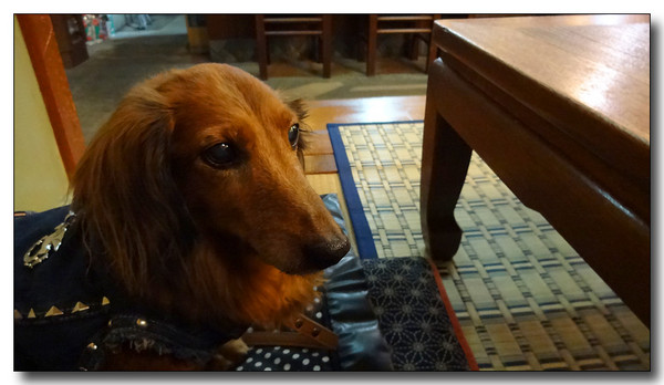 20131212234414.JPG