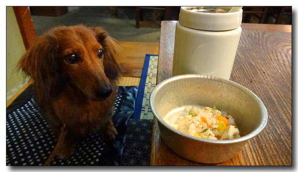 20131212234434.JPG