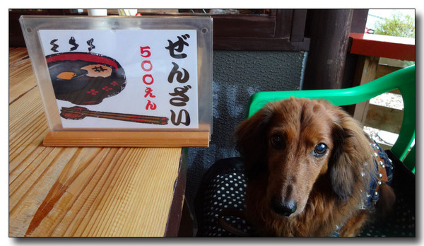 20131213141753.JPG