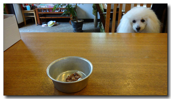 20131220090930.JPG